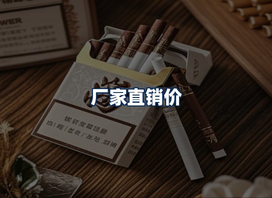 专业团队办公环境